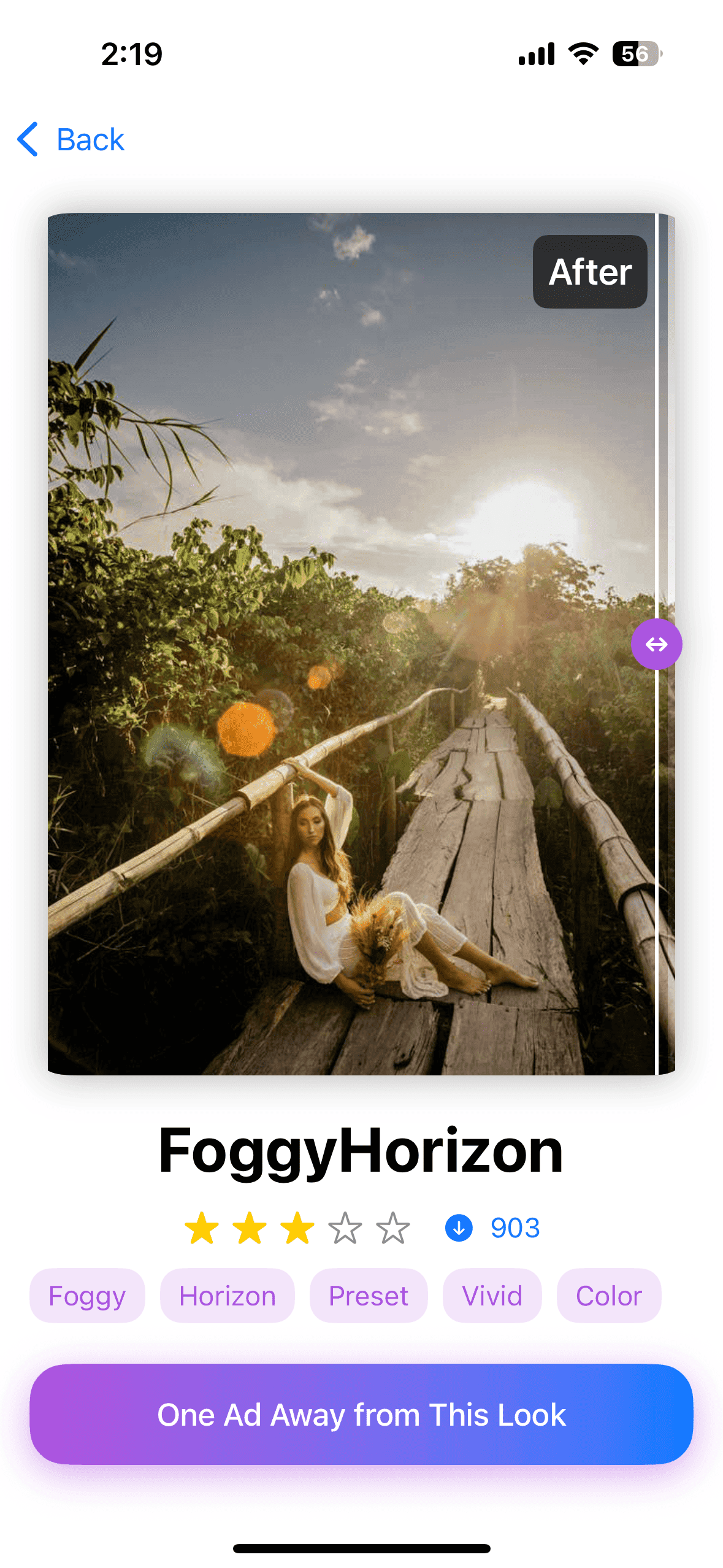 Vivid Preset App - FoggyHorizon Preset