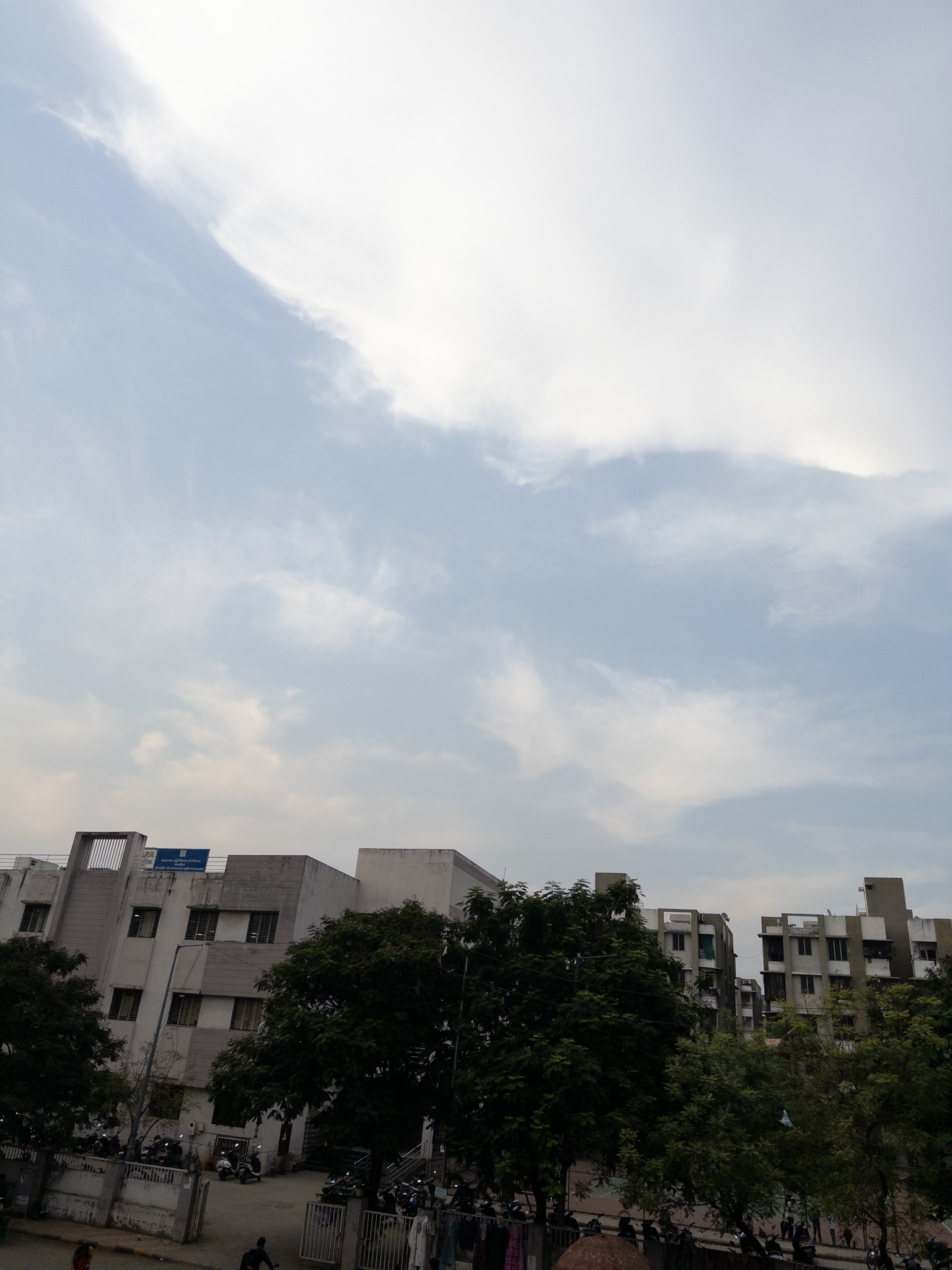 Unedited Bayer RAW photo from Iris Pro